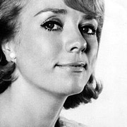 Height of Inger Stevens