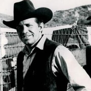 Height of Warren Oates